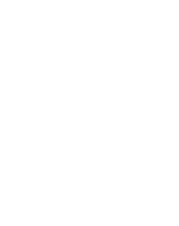 Apice Sports Logo